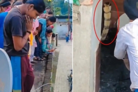 Hindistan'da Bir Evin Klozetinden Çıkan Dev Kobra Paniğe Neden Oldu